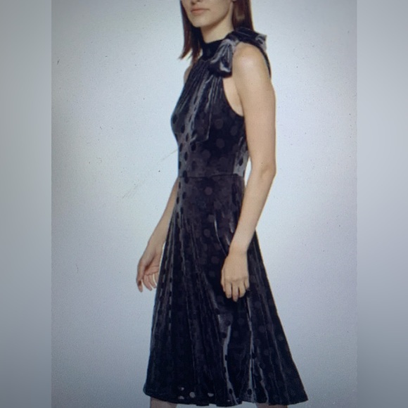 Calvin Kline Velvet Polka Dot Dress - Picture 9 of 12